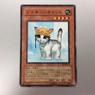 (For play) Rescue Cat Normal