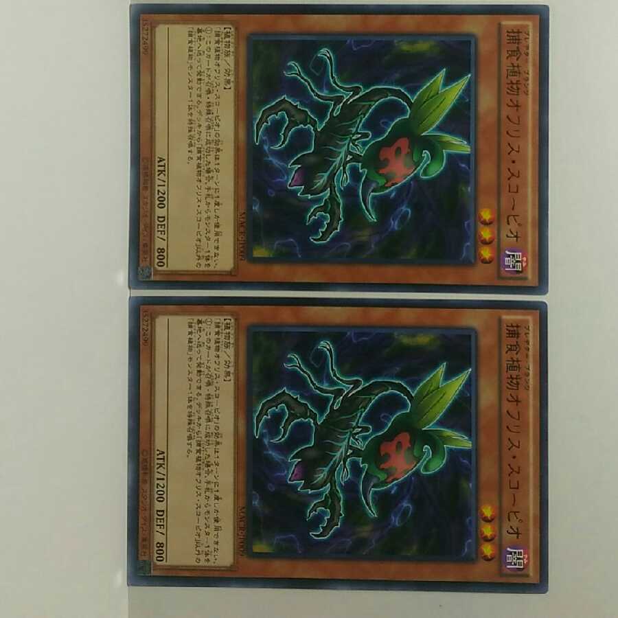 捕食植物オフリススコーピオ 2枚セット 遊戯王 無言可 レア ノーマル