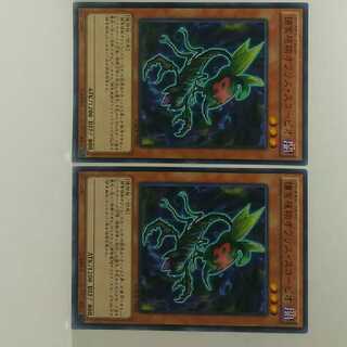 捕食植物オフリススコーピオ 2枚セット 遊戯王 無言可 レア ノーマル