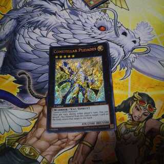 セイククリッドプレアデス  英語