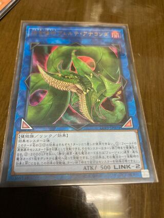 捕食植物ヴェルテ・アナコンダ ウルトラレア