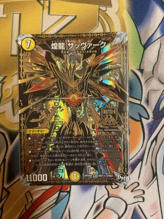 煌龍 サッヴァーク