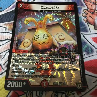 こたつむり 1枚