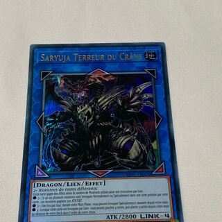 鎖龍蛇－スカルデット　フランス語版　EU版