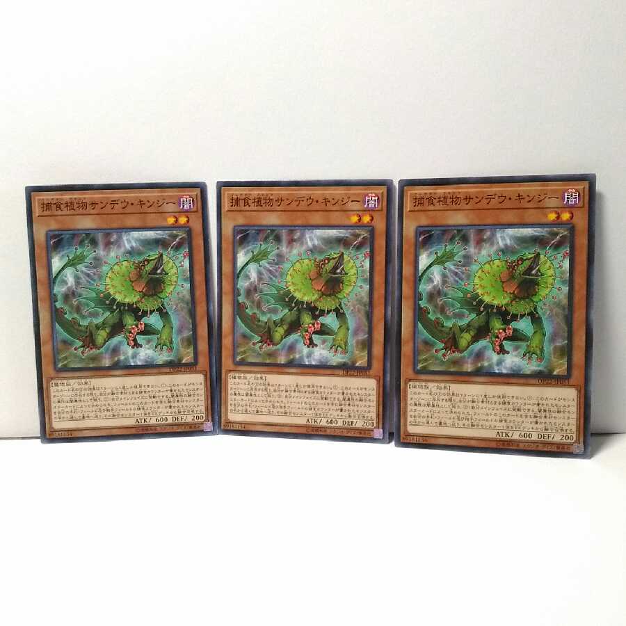 捕食植物サンデウ・キンジー 3枚セット 遊戯王 無言可 レア ノーマル