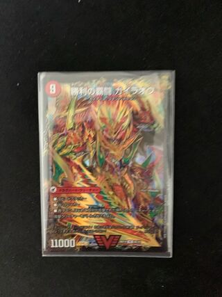 黒木さん専用 1枚