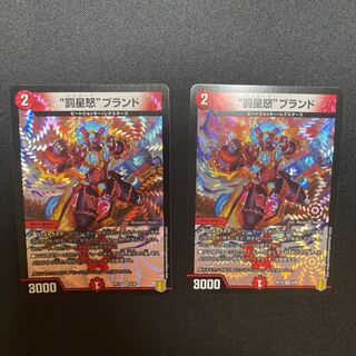 “罰星怒”ブランド VR 2枚