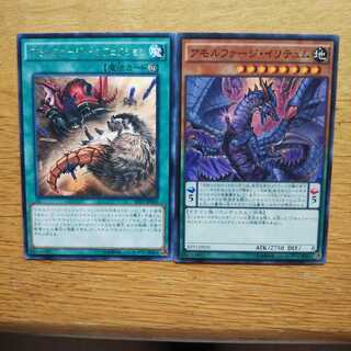 【遊戯王】アモルファージイリテュム(SR) インフェクション(R)