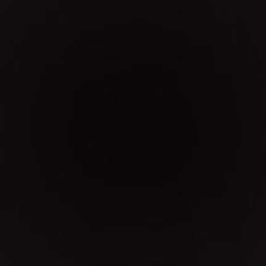 ひろりん様専用