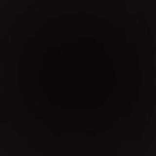 ひろりん様専用