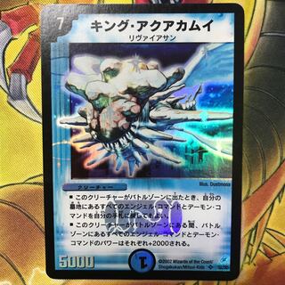 キング・アクアカムイ