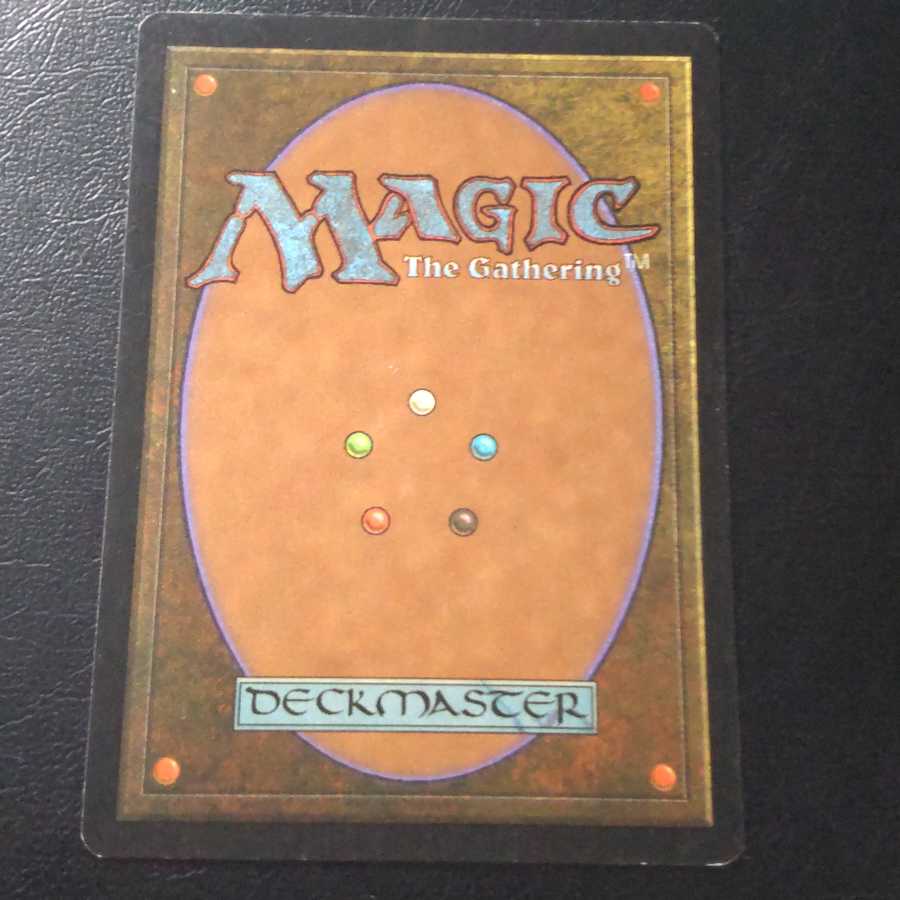 呪われた巻物(英)