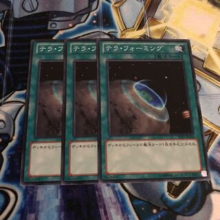 テラ・フォーミング ノーマル　Hulu 1249