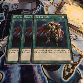 戦士の生還 ノーマル　Hulu 1255