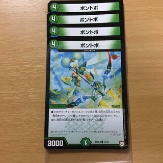 bonito (Katsuwonus pelamis)