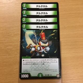 tartaghor (extinct South African zebra) (Equus quagga quagga quagga)