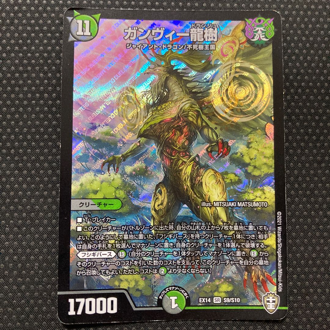 ガンヴィー龍樹 SR