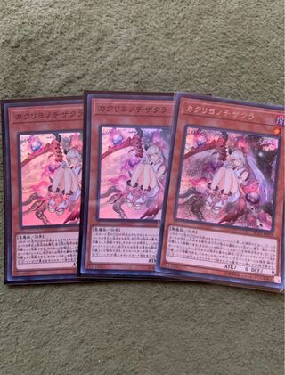 Red Blossoms from Underroot 3 sheets