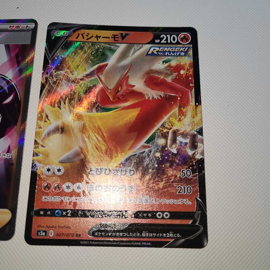 ポプラ　バシャーモV