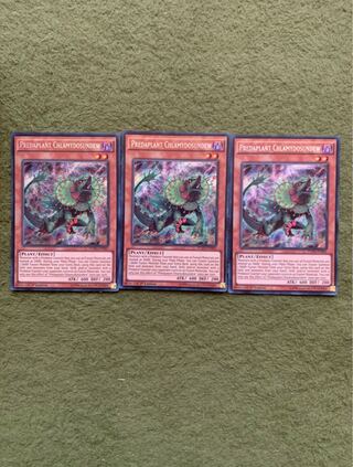 捕食植物サンデウ・キンジー　英語版シークレット3枚