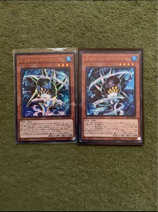 ライトハンド　レフトハンドシャーク