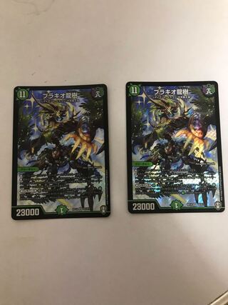 ブラキオ龍樹　2枚