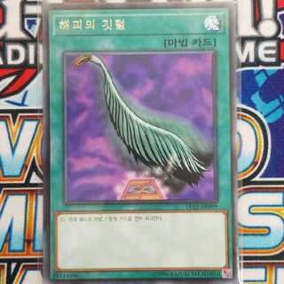 遊戯王 韓国版 ハーピィの羽根帚
