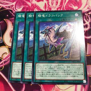 騎竜ドラコバック