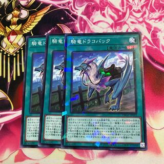 騎竜ドラコバック