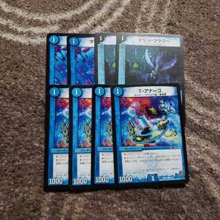 マリンフラワー T・アナーゴ