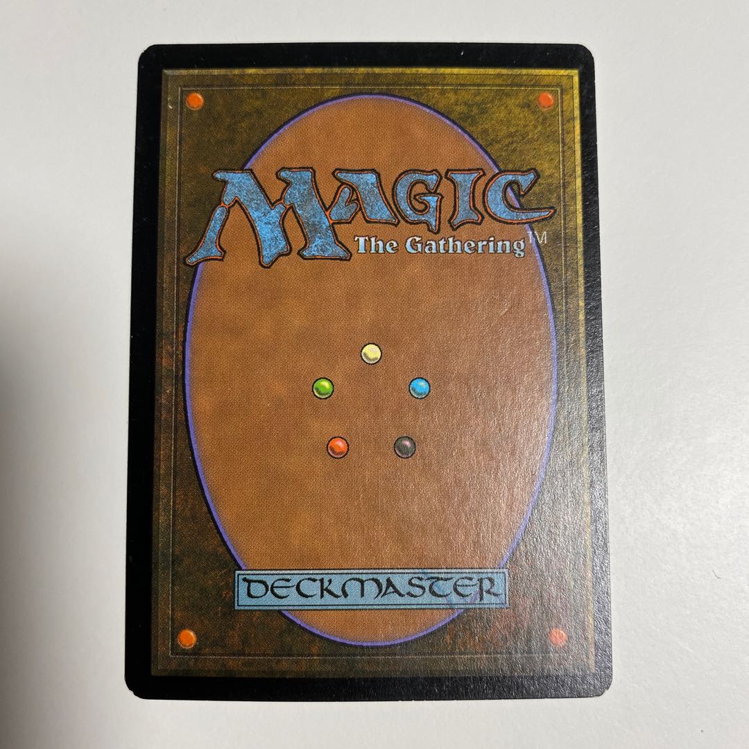 吸血の教示者 6版 英語