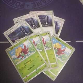 3871様専用　ヒメンカとシオンタウン