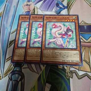 妖精伝姫(フェアリーテイル) シラユキ 3枚セット