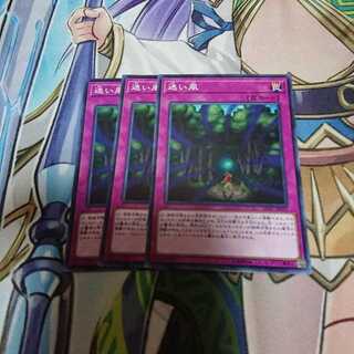 迷い風 3枚セット