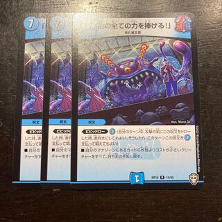 「我の全ての力を捧げる!」