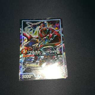 アカカゲ・レッドシャドウ