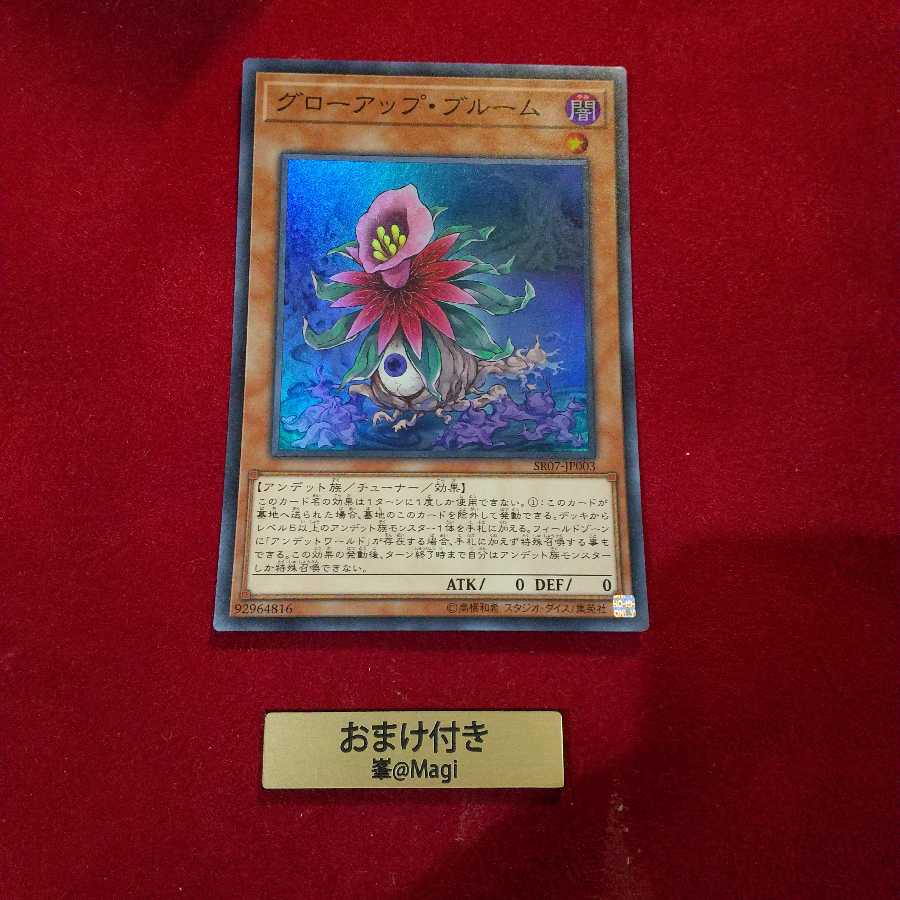 グローアップ・ブルーム スーパーレア