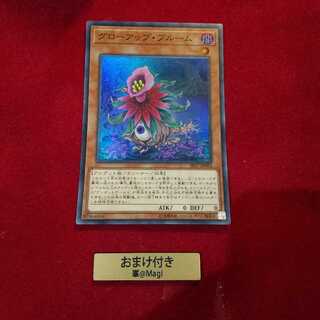 グローアップ・ブルーム スーパーレア