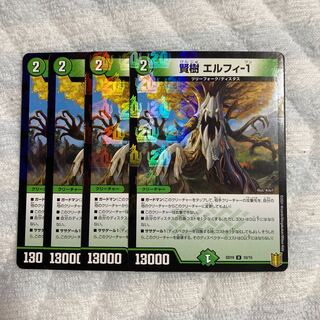 賢樹　エルフィ