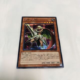 薔薇の聖騎士【シク】