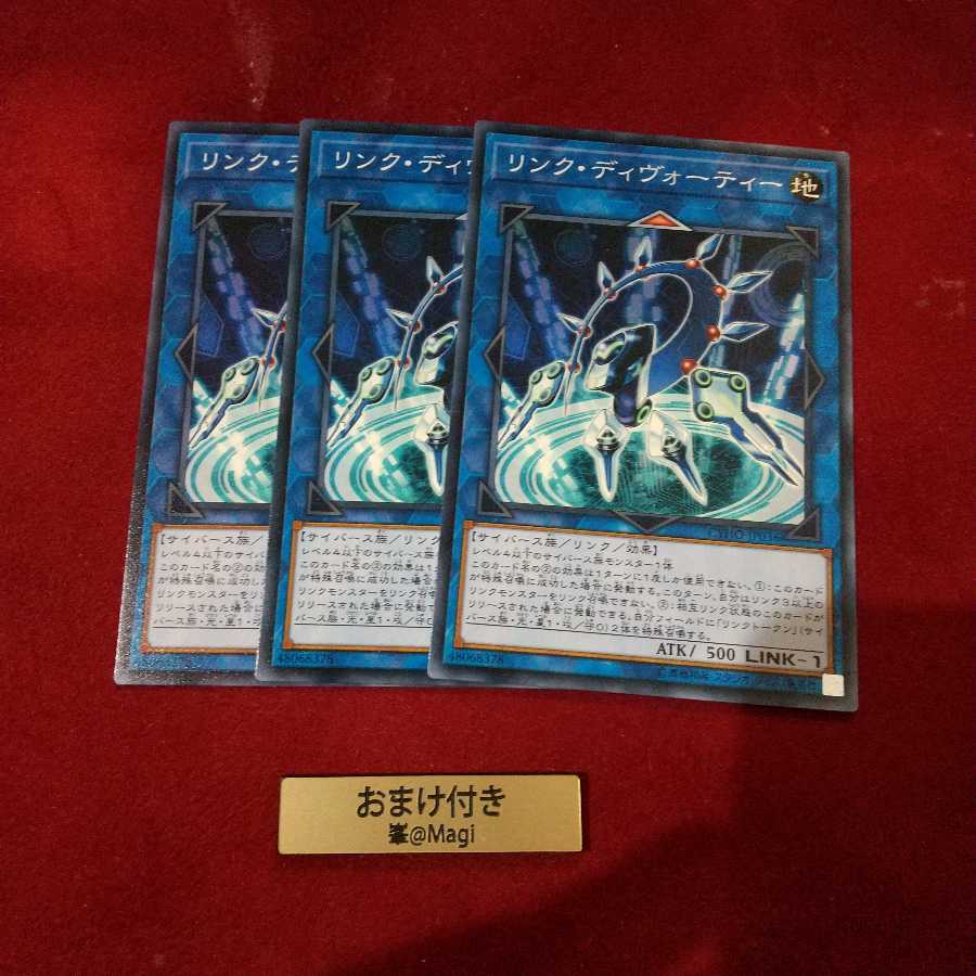 リンク・ディヴォーティー ノーマル