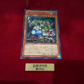 ティオの蟲惑魔 レア