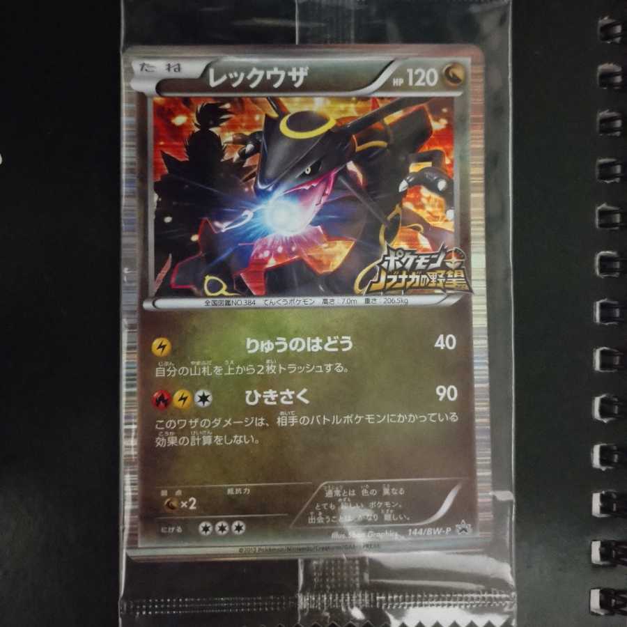 Rayquaza Nobunaga's Ambition