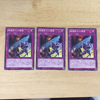 破壊剣士の揺籃