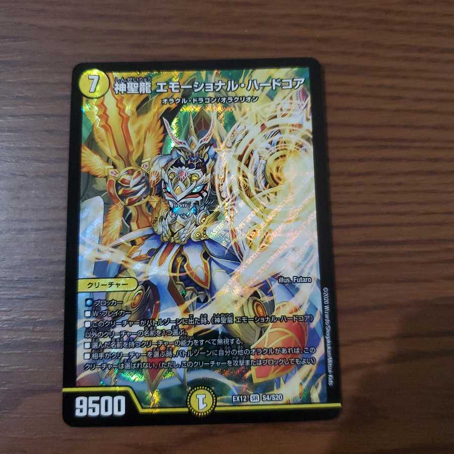 神聖龍 エモーショナル・ハードコア