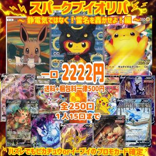 おとなのおねえさん様　専用