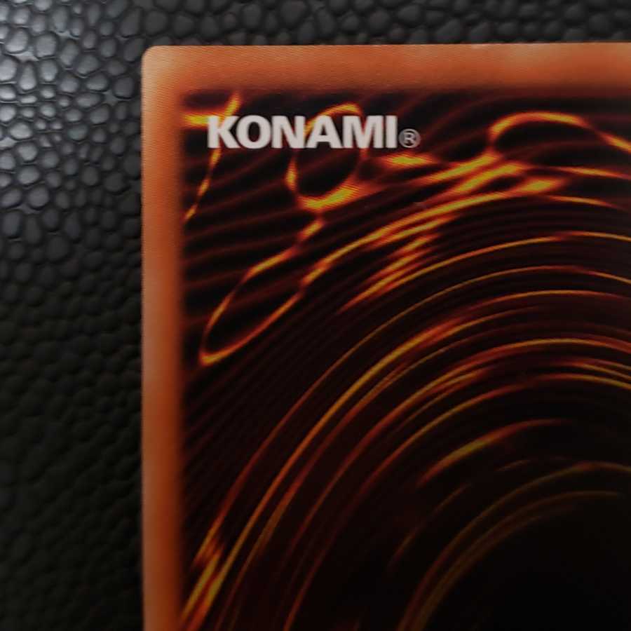 【美品】ブラッドローズドラゴン プリシク