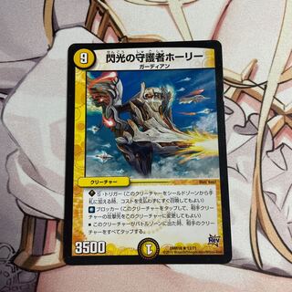 閃光の守護者ホーリー