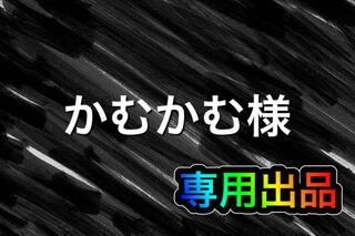 【かむかむ様】専用出品