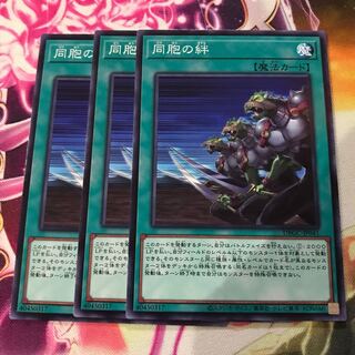 Ties of the Brethren